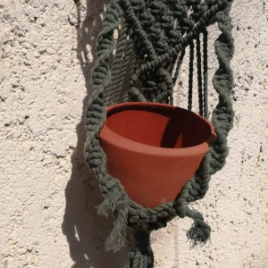 Macetero de tronco
